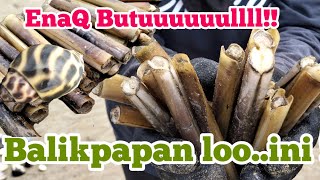 yukk belajar bareng cari kerang bambu sama isty😃balikpapan kerangbambu razorclams [upl. by Katie]