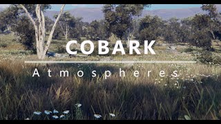 Cobark Atmospheres  Unity HDRP Australian Environment [upl. by Mareld43]