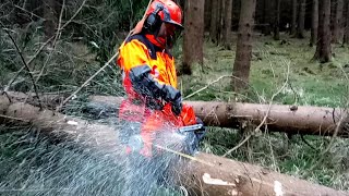 Chainsaw Husqvarna 572 XP  GARDEN AND FOREST [upl. by Notlek459]