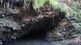 Deer Creek Bigelow Hot Springs  Oregon Cascades [upl. by Elahcar833]