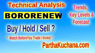 Borosil Renewables Limited Analysis Key Levels amp Patterns Unveiled [upl. by Fulvi]