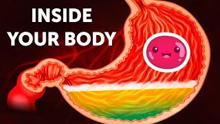 A Journey Inside Your Body [upl. by Thorne]