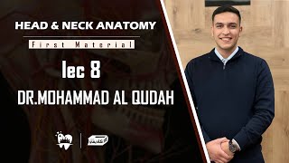 Head amp Neck Anatomy ll lec 8 ll by Mohammad Atef Alqudah [upl. by Hubie]