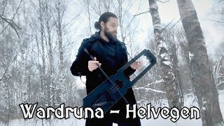 Wardruna  Helvegen tagelharpa cover by Sonorous Hill [upl. by Rotberg527]