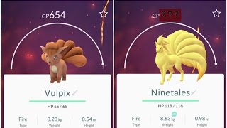 1800cp Ninetales Epic Pokemon Go Vulpix654 Evolution [upl. by Borman]