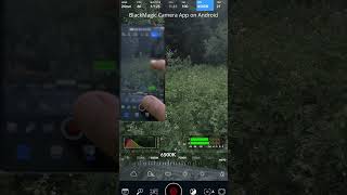 BlackMagic Camera App Android bug [upl. by Anewor]