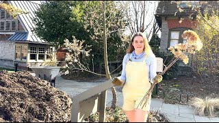 Gardeners Almanac Pruning Hydrangeas [upl. by Enilorac963]