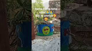 Rama Rama ratte [upl. by Annaert507]