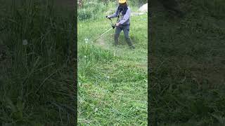 🚀 grasstrimmer 🚀 бензокоса brushcutter [upl. by Nelleeus49]