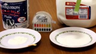 chemistry of yogurt formation [upl. by Otir]