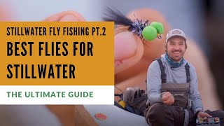 10 Best Stillwater Flies DONT FISH LAKES WITHOUT THEM [upl. by Halie150]