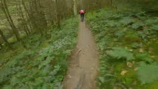 FIRST TIME AT DYFI BIKE PARK [upl. by Anitnahs]