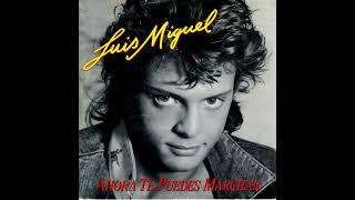 Luis Miguel  Ahora Te Puedes Marchar Karaoke [upl. by Julius]