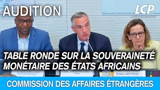 Table ronde sur la souveraineté monétaire des États africains et le devenir du franc CFA [upl. by Frederico790]