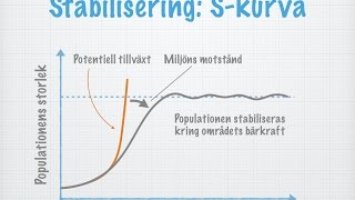 Populationer Storlek och tillväxt gammal [upl. by Liartnod915]