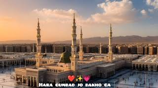 Hara gumbad jo dakho ga Slowed Reverb Gulam Mustafa qadari Beautiful naat [upl. by Calabrese]