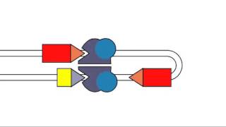 5 1 VDJ Recombination [upl. by Cheslie]