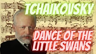 Spectacular Swan LakeTchaikovsky  Dance of the Little Swans [upl. by Burtie613]