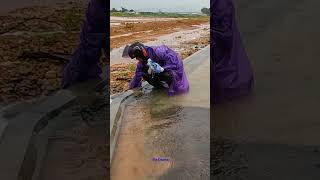 Removal Releasing Flood Of Water viral flashflood drainage satisfying [upl. by Lipcombe34]