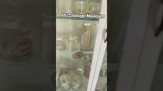 zoology at PU lifeofauniversitystudent universityofthepunjab spouse entertainment [upl. by Hymen588]