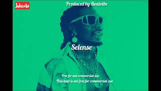 SELENSE  Asake X Burna boy type beat Afrobeats 2024 [upl. by Aggy]