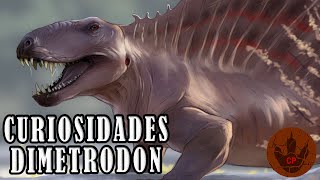 CURIOSIDADES DEL DIMETRODON [upl. by Nonna]