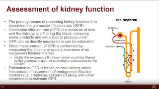 Cystatin C and Race free GFR Estimation Evaluating both clinical guidelines and laboratory perspecti [upl. by Sivolc]