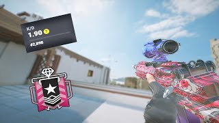 The BEST DMR In Rainbow Six Siege [upl. by Dnilazor]