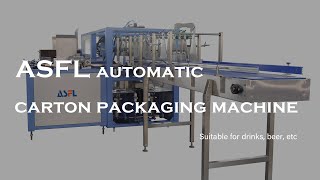 Automatic beverage carton packaging machine [upl. by Repinuj]