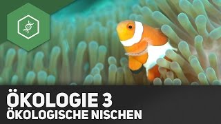 Umweltfaktoren und Ökologische Nischen  Ökologie 3 [upl. by Rotberg442]