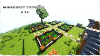 Minecraft Survival 12  As Plantações [upl. by Phelia]