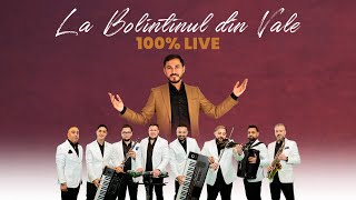 Orchestra Luminii ❌ David Constantin  La Bolintinul din Vale COVER  LIVE [upl. by Nwahsek625]