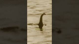 Loch Ness Monster │ Occult Legends [upl. by Lezlie]