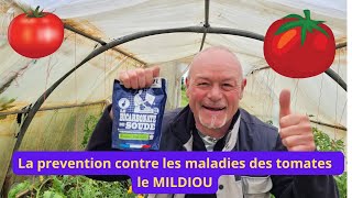 Comment protèger avec le bicarbonate de soude sur vos tomates  contre le MILDIOU [upl. by Wolk465]