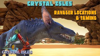 ARK Crystal Isles  Ravager Spawn Location amp TAMING [upl. by Nesnar230]