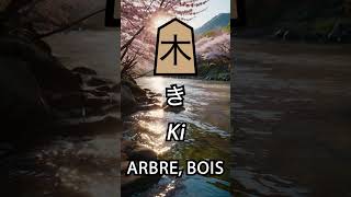 Kanji Focus  Apprendre et Retenir les Kanjis en 30s 4 木 culturejaponaise japonjaponais [upl. by Rivera685]