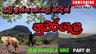 NUWARAGALA HIKE  PART 1  අලි ඉන්න කැලේ මැදින් නුවරගලට  CAMPING  4K  SRI LANKA [upl. by Farley]