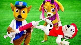 PAW Patrol Ultimate Rescue Funny Chase Doctor Comedy  Paw Patrol Funny Action In Real Life [upl. by Orlando395]