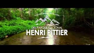 Plan Integral de Protección del Parque Nacional Henri Pittier  MBI [upl. by Leesa]