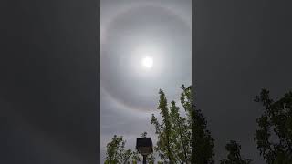 Solar Halo During Partial Solar Eclipse Over Albuquerque New Mexico🌙 [upl. by Wenger892]