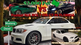 SINGLE TURBO MUSTANG RUNS MY BIG TURBOS 135i  FLORIDA’S FASTEST BOLT ON C7’S GO AT IT [upl. by Marcelo50]