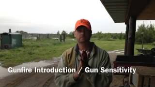 Gunfire Introduction  Gun Sensitivity Training [upl. by Anielram]