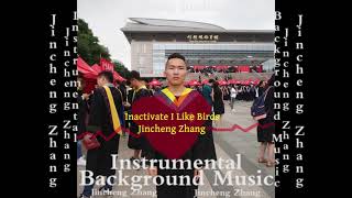 Jincheng Zhang  Infuse I Like Birds Official Instrumental Background Music [upl. by Boswell412]