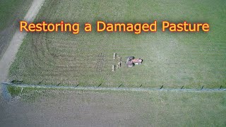 How to restore damaged pasture techniques [upl. by Eugenides177]