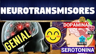 TODO SOBRE LOS NEUROTRANSMISORES  CLASIFICACIÓN Y FUNCIONES [upl. by Olbap741]