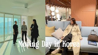 Homebody in Korea  Moving into new Korean apartment furniture shopping beauty day settling in [upl. by Elleirad]