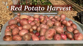 Red Potato Harvest [upl. by Body]