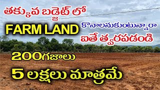 BEST FARM LAND IN VIJAYAWADA HIGHWAY  LOW BUDGET FARM LAND VENTURE Agricuitural Land For Sale [upl. by Liman]