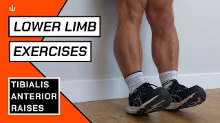 Tibialis Anterior Raise  Running Exercises [upl. by Nelly]