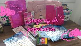 Compras de papelaria acumulada Planner caderno de discos e MAIS [upl. by Mctyre]